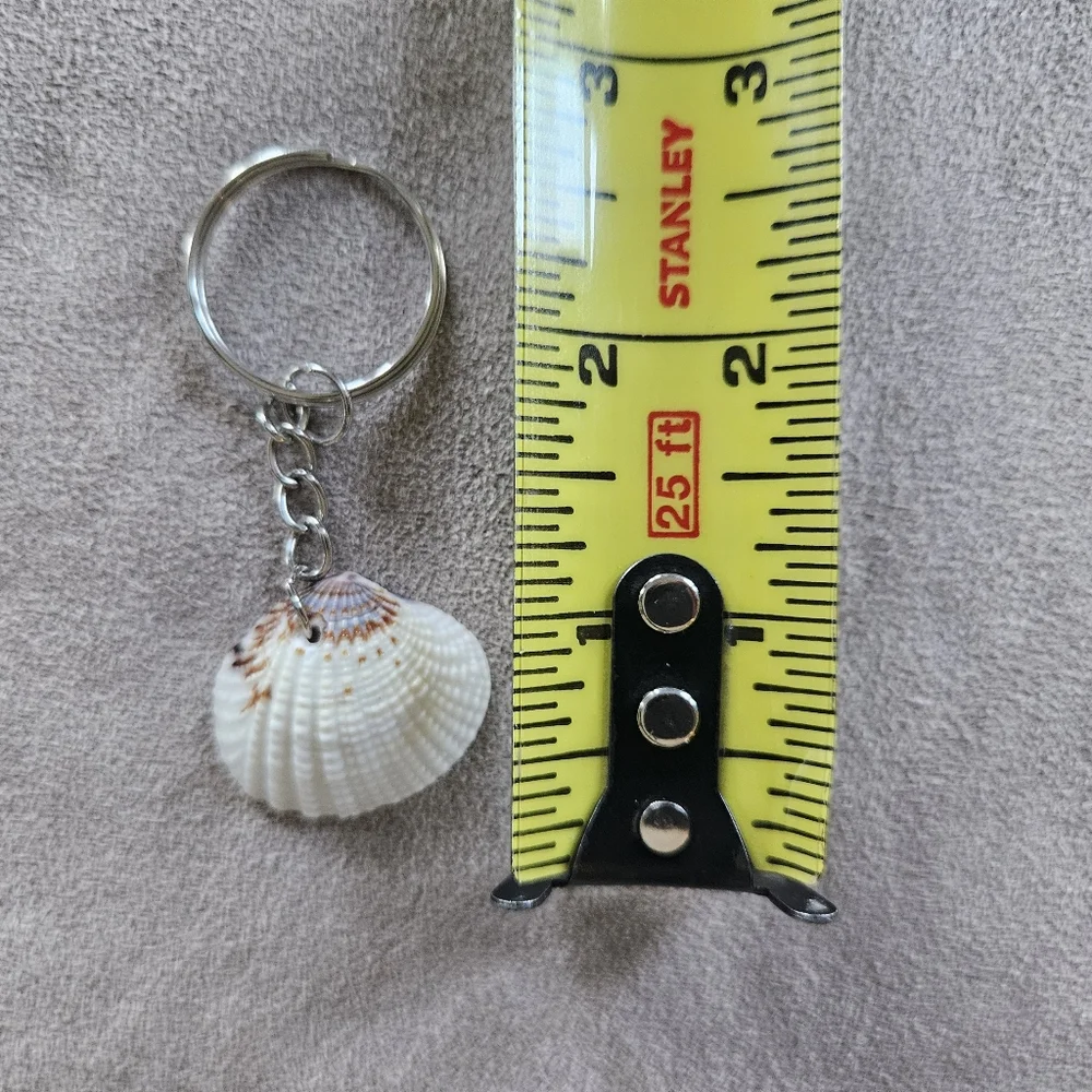 NEW Coastal Decor Set Shark Sign Shells Starfish & Shell Keychain Fish Tank Safe